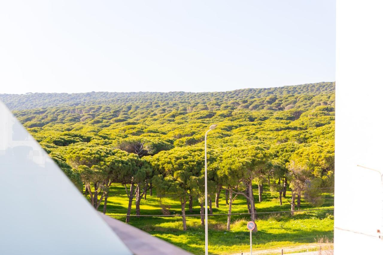 Casa Del Carmen - Terraza Y Paseo Maritimo Daire Barbate Dış mekan fotoğraf